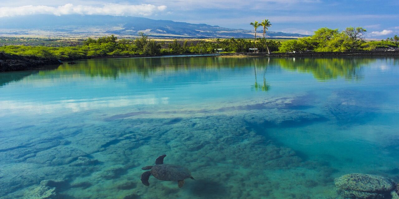 Conociendo Hawaii: Un Paraíso en la Tierra