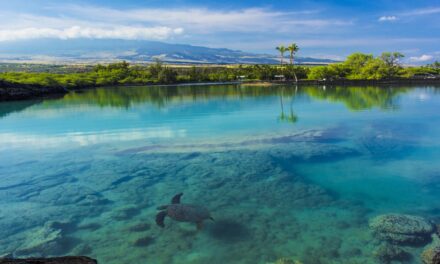Conociendo Hawaii: Un Paraíso en la Tierra
